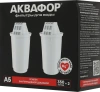 1004888_v01_s.webp
