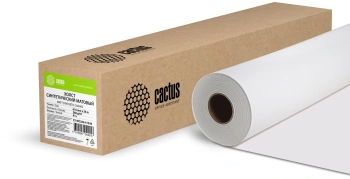 Холст Cactus CS-MC260-61030