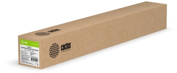 Холст Cactus CS-MC260-91430
