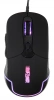 1018258_v01_s.webp