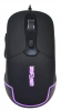 1018258_v08_s.webp