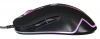 1018258_v11_s.webp