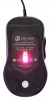 1018258_v14_s.webp