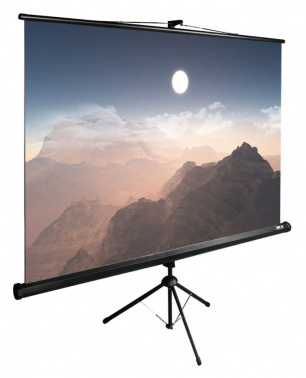 Экран Cactus 100