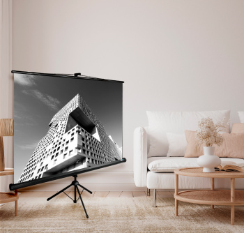 Экран Cactus 100