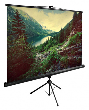 Экран Cactus 122