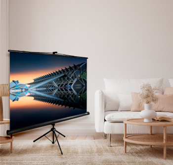 Экран Cactus 122