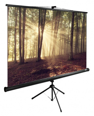 Экран Cactus 89