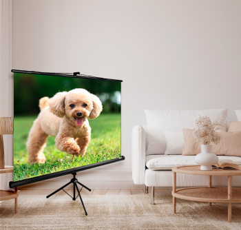 Экран Cactus 89