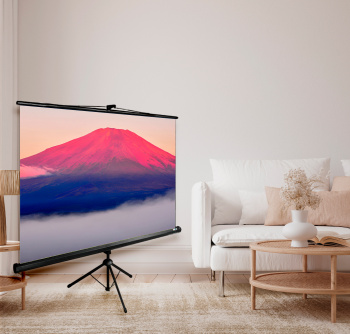 Экран Cactus 98