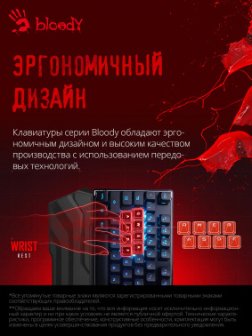 Клавиатура A4Tech Bloody B3370R