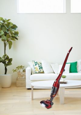 Пылесос ручной Gorenje SVC216FR