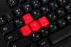 1032492_d07_s.webp