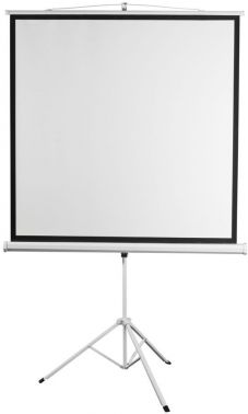 Экран Digis 100