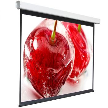 Экран Digis 100