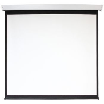 Экран Digis 100