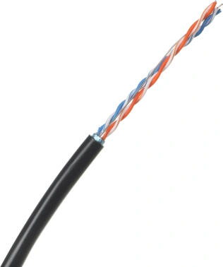 Кабель информационный Lanmaster TWT-5EFTP2-OUT кат.5E FTP 2 пары 24AWG PE внешний 305м черный