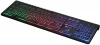 1067202_v09_s.webp