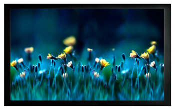 Экран на раме Cactus 90