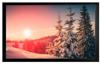 Экран на раме Cactus 163