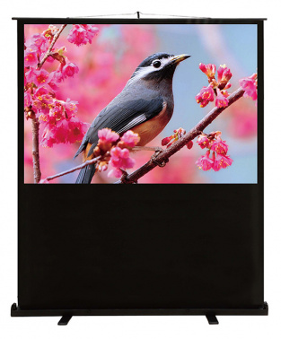 Экран Cactus 59