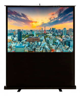 Экран Cactus 89