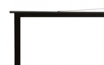 Экран Cactus 98