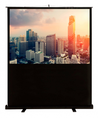 Экран Cactus 81