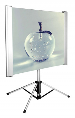 Экран Cactus 81