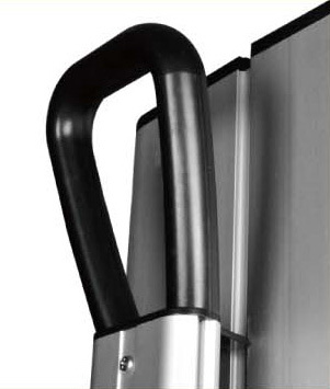 Экран Cactus 81