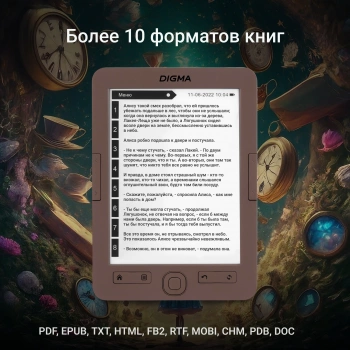 Электронная книга Digma E60C