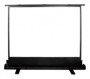 Экран Cactus 79