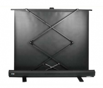 Экран Cactus 98