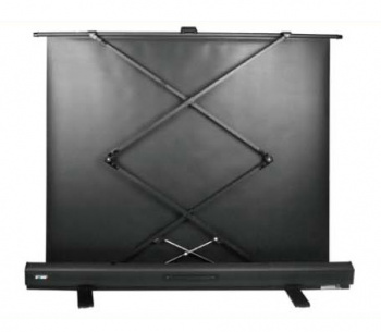 Экран Cactus 54