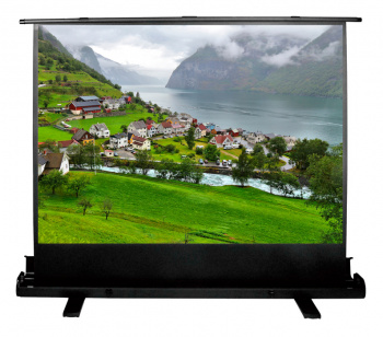 Экран Cactus 81