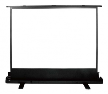 Экран Cactus 81