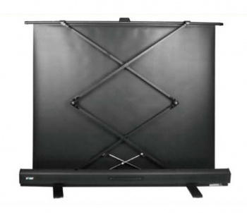 Экран Cactus 81