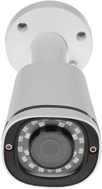 Камера видеонаблюдения IP Trassir  TR-D2121IR3