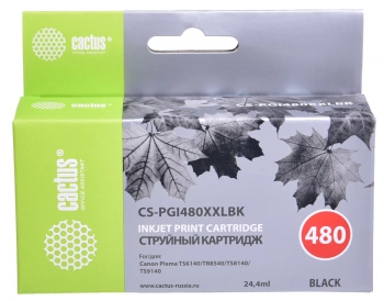 Картридж струйный Cactus CS-PGI480XXLBK