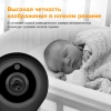 1100163_v08_s.webp