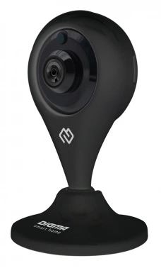 Камера видеонаблюдения IP Digma DiVision  300