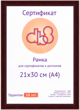 Рамка Светосила DB8  5006-8L