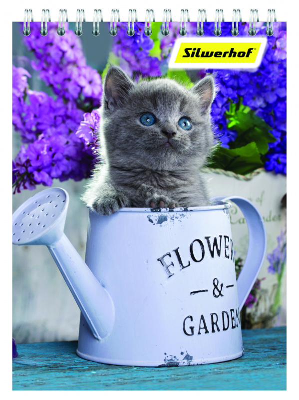  Silwerhof 731195-26 40. . 6  2.  .. 