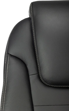 Кресло руководителя Бюрократ  T-9923SL