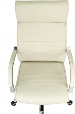 Кресло руководителя Бюрократ  T-8010SL