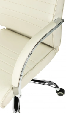 Кресло руководителя Бюрократ  T-8010SL