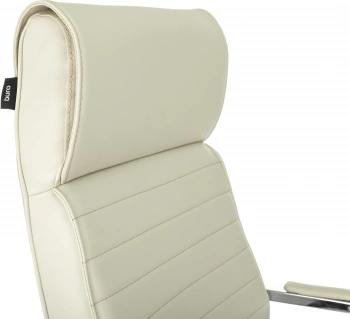 Кресло руководителя Бюрократ  T-8010SL