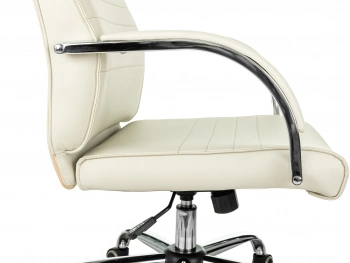 Кресло руководителя Бюрократ  T-8010SL