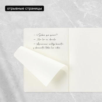 Блокнот Moleskine CAHIER JOURNAL CH023D17 XLarge 190х250мм обложка картон 120стр. нелинованный розовый неон (3шт)