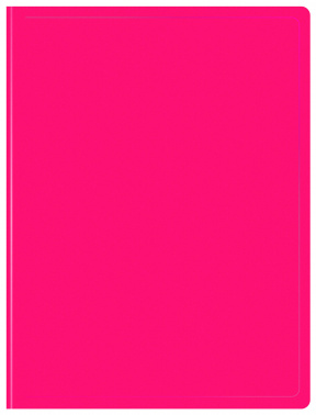 Папка с 10 прозр.вклад. Бюрократ Double Neon DNE07V10PINK A4 пластик 0.7мм розовый